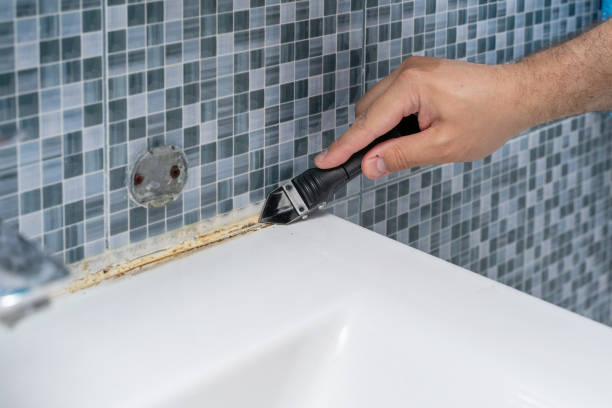 Best Residential Mold Removal  in Osage Beach, MO